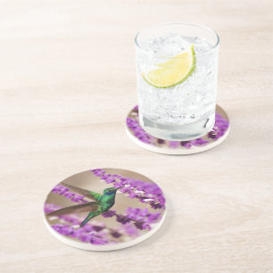 Posavasos De Arenisca Alas del colibrí de los Violeta-oídos el chispear