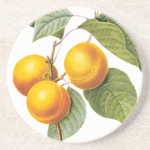 Posavasos De Arenisca Alimento Antiguo Fruta, Albaricoque Melocotón por 