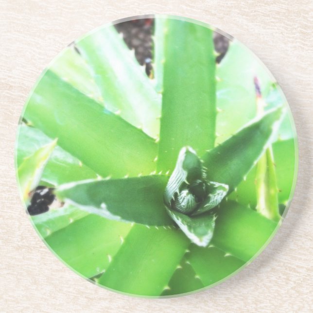 Posavasos De Arenisca Áloe verde (Frente)