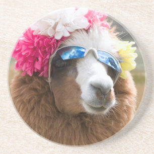 Posavasos De Arenisca Alpaca, Pachacoto, Cordillera Blanca, Ancash