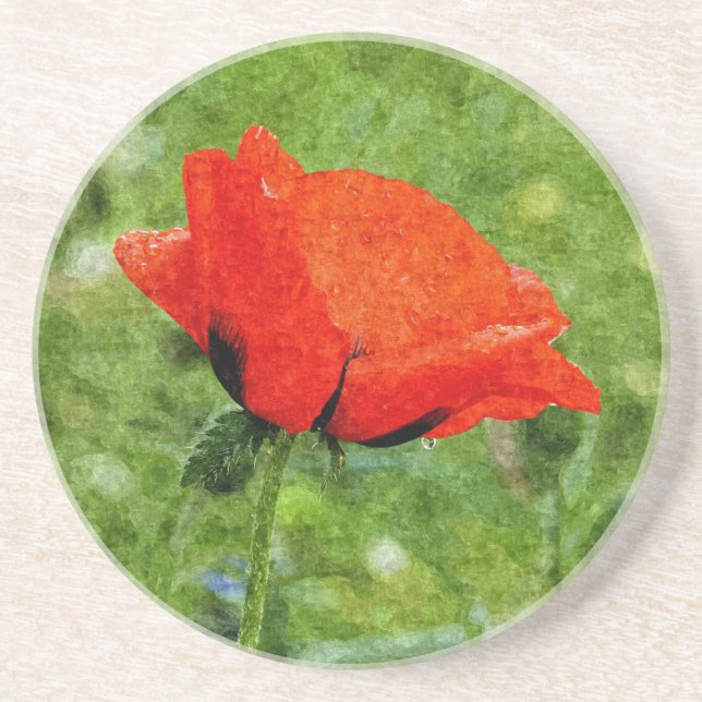 Posavasos De Arenisca Amapola Roja (Frente)