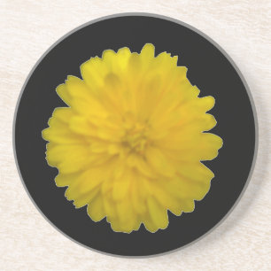 Posavasos De Arenisca Amarillo de los Coasters de Marigold