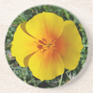 Posavasos De Arenisca amarillo de otoño