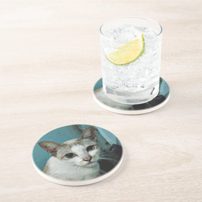 Posavasos De Arenisca Amigo del gato siamés (Lado)