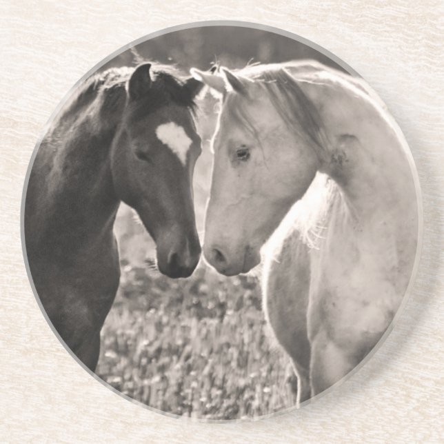 Posavasos De Arenisca Amor del caballo (Frente)