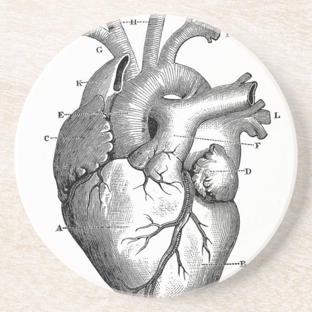 Posavasos De Arenisca Anatomía cardíaca vintage | PERSONALIZABLE (Frente)