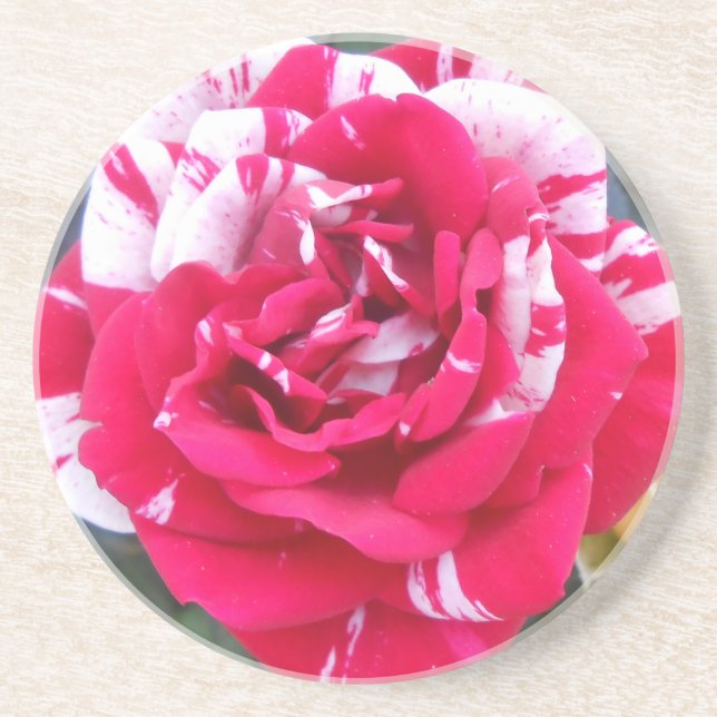 Posavasos De Arenisca Anicia (Frente)