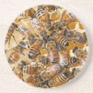 Posavasos De Arenisca Apicultura en Arlo's Honey Farm