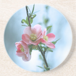 Posavasos De Arenisca Apple Blossom #P0365