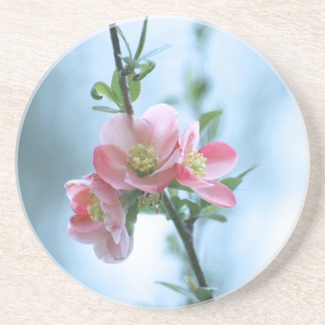 Posavasos De Arenisca Apple Blossom #P0365 (Frente)