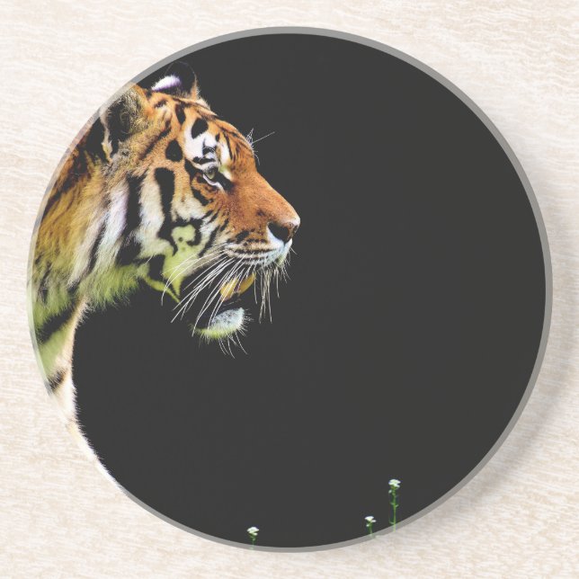 Posavasos De Arenisca Aproximación de tigres - Arte de animales salvajes (Frente)