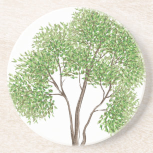 Posavasos De Arenisca Árbol de algodón