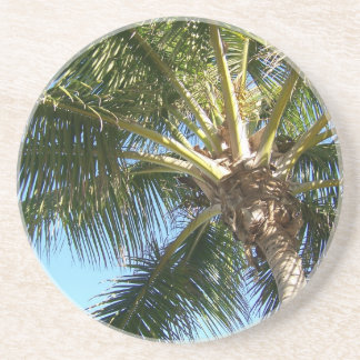 Posavasos De Arenisca Árbol de coco