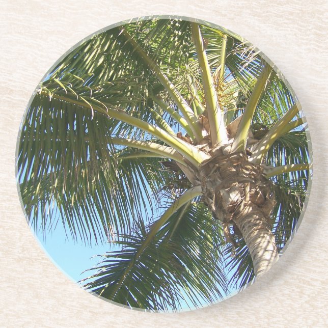 Posavasos De Arenisca Árbol de coco (Frente)