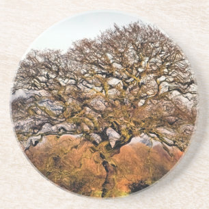 POSAVASOS DE ARENISCA ÁRBOL DE INVIERNO