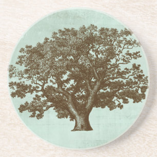 Posavasos De Arenisca Árbol de Spa IV