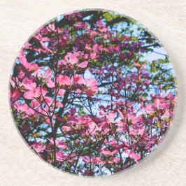 Posavasos De Arenisca Árbol Dogwood con flores rosadas