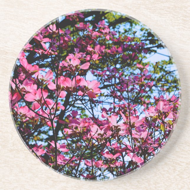 Posavasos De Arenisca Árbol Dogwood con flores rosadas (Frente)