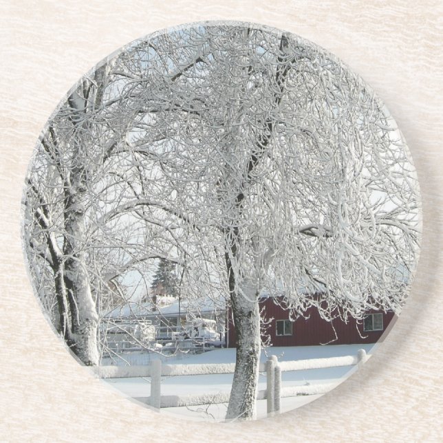 Posavasos De Arenisca Árboles de invierno (Frente)