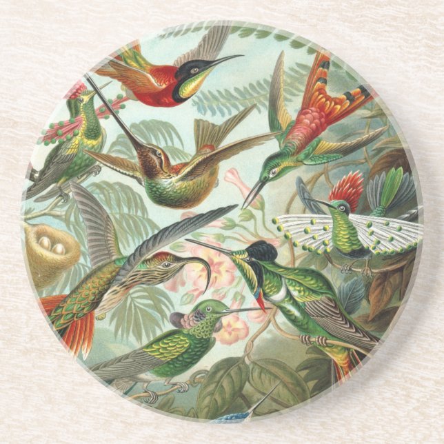 Posavasos De Arenisca Arte de Paraíso de las Aves (Frente)