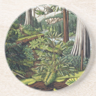 Posavasos De Arenisca Arte Paisajista Cocina Vieja Crecimiento Forestal