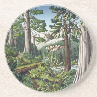 Posavasos De Arenisca Arte Paisajista Cocina Vieja Crecimiento Forestal