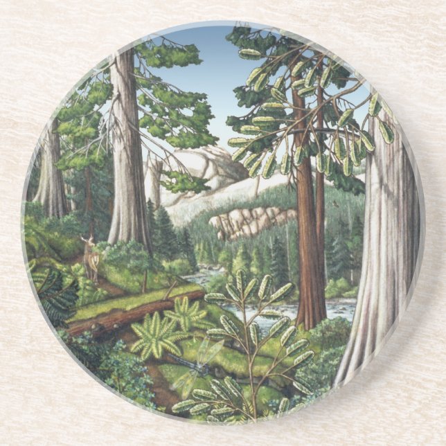 Posavasos De Arenisca Arte Paisajista Cocina Vieja Crecimiento Forestal (Frente)