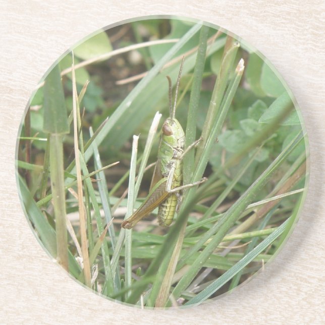 Posavasos De Arenisca Astras de camuflaje de Grasshopper (Frente)