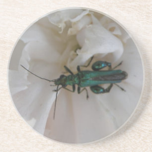 Posavasos De Arenisca Astras de escarabajo de flores