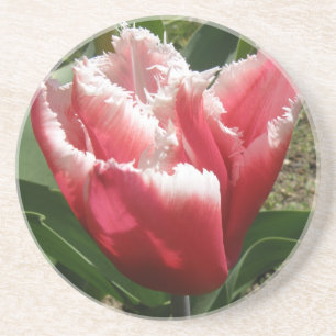 Posavasos De Arenisca Astras de tulipanes rosados con bordes