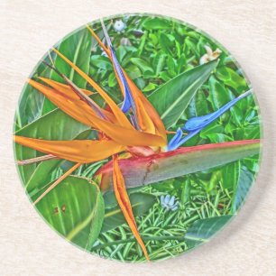 Posavasos De Arenisca Atracciones de Hawái del Paraíso de las Aves