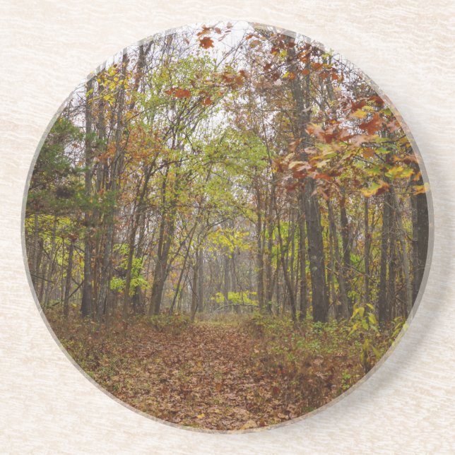 Posavasos De Arenisca Autumn Bliss (Frente)
