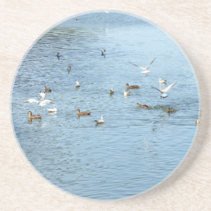 Posavasos De Arenisca Aves En El Río De Verano