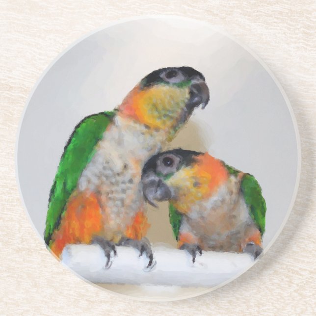 Posavasos De Arenisca Baby Caique Parrots Animal Coaster (Frente)