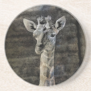 Posavasos De Arenisca Baby Giraffe