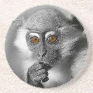 Posavasos De Arenisca Baby Mangabey Monkey