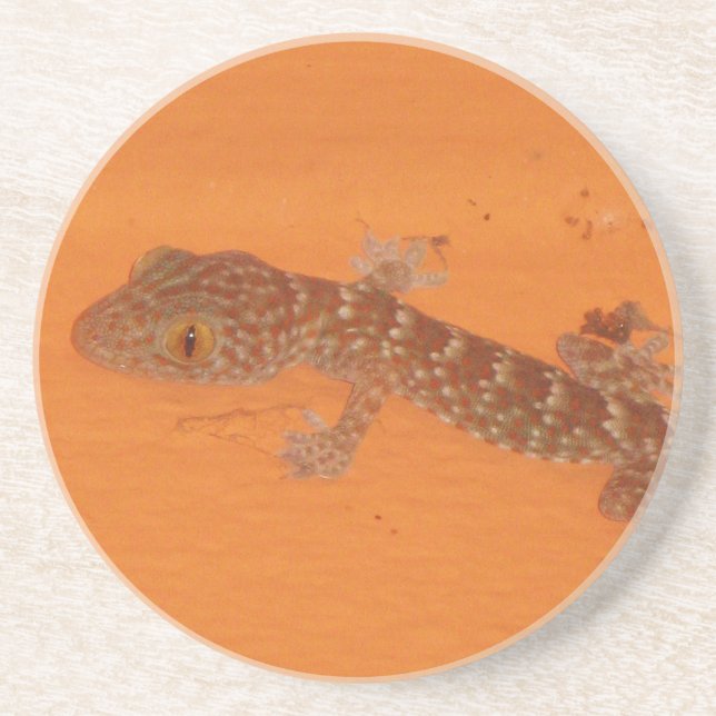 Posavasos De Arenisca Baby Tokay Gecko (Frente)