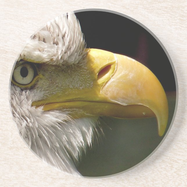 POSAVASOS DE ARENISCA BALD EAGLE (Frente)