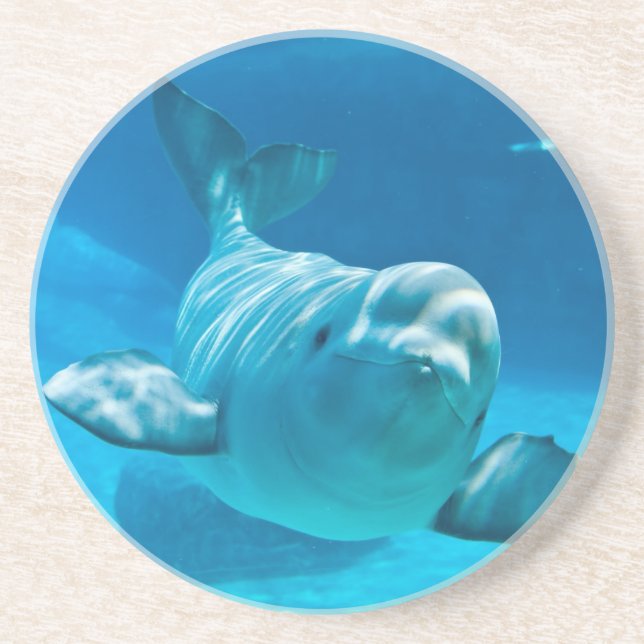 Posavasos De Arenisca Ballena de la beluga (Frente)