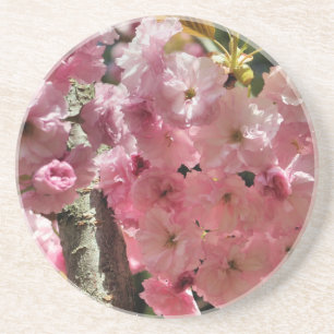 Posavasos De Arenisca Baños de primavera rosada en escayola floral