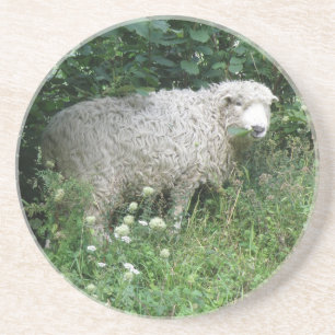 Posavasos De Arenisca Bastante de Oveja Cuidada Blanca Fluffy