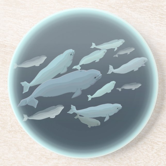 Posavasos De Arenisca Baterías de ballena de Beluga (Frente)