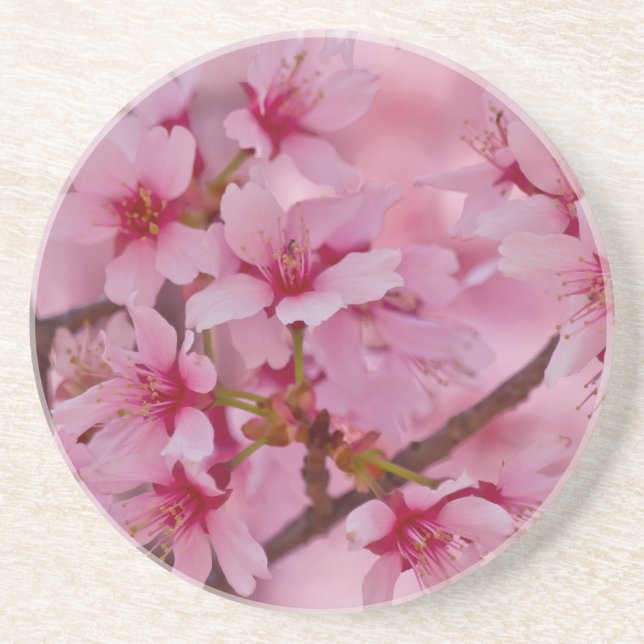 Posavasos De Arenisca Bathin in Pink Japanese Cherry Blossoms (Frente)