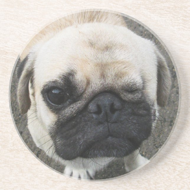 Posavasos De Arenisca Bauwk... Perro de cachorro de cerdo... Tailandia (Frente)