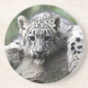 Posavasos De Arenisca Bebé de piedra arenisca