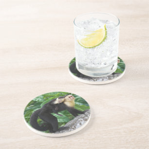 Posavasos De Arenisca Bebé que lleva del mono adulto del capuchón en su