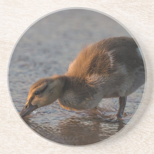 Posavasos De Arenisca Bebé sediento (Frente)