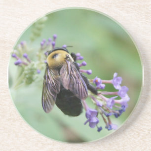 Posavasos De Arenisca Bee-autiful Bee Coaster