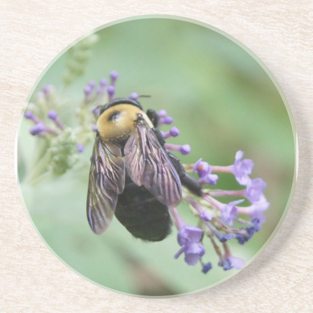 Posavasos De Arenisca Bee-autiful Bee Coaster (Frente)