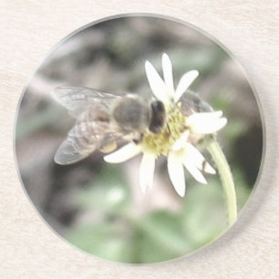 Posavasos De Arenisca Bee Coaster